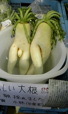 100902da.jpg